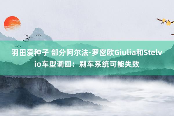 羽田爱种子 部分阿尔法·罗密欧Giulia和Stelvio车型调回：刹车系统可能失效