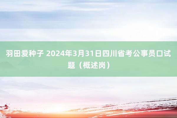 羽田爱种子 2024年3月31日四川省考公事员口试题（概述岗）