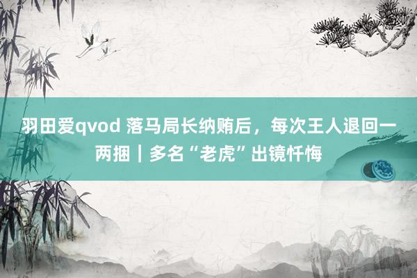 羽田爱qvod 落马局长纳贿后，每次王人退回一两捆｜多名“老虎”出镜忏悔