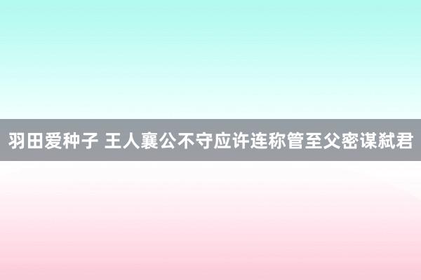 羽田爱种子 王人襄公不守应许连称管至父密谋弑君