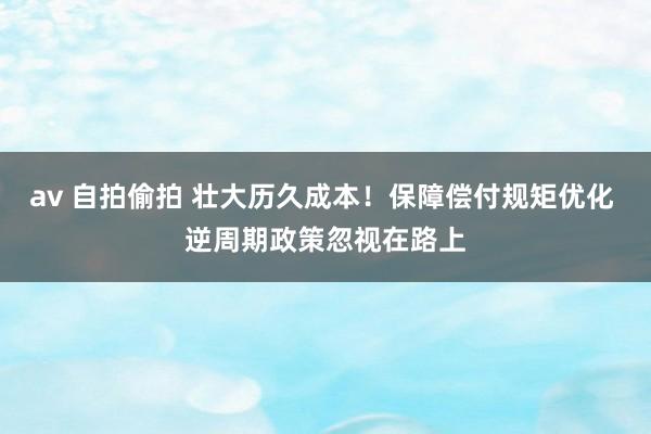 av 自拍偷拍 壮大历久成本！保障偿付规矩优化 逆周期政策忽视在路上