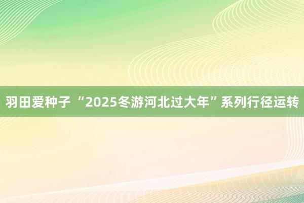 羽田爱种子 “2025冬游河北过大年”系列行径运转