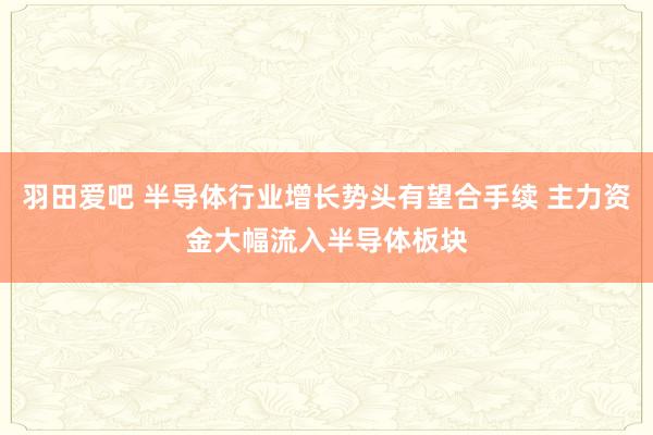 羽田爱吧 半导体行业增长势头有望合手续 主力资金大幅流入半导体板块