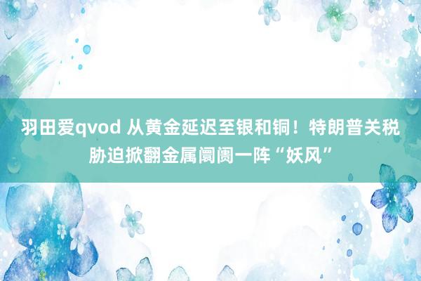 羽田爱qvod 从黄金延迟至银和铜！特朗普关税胁迫掀翻金属阛阓一阵“妖风”