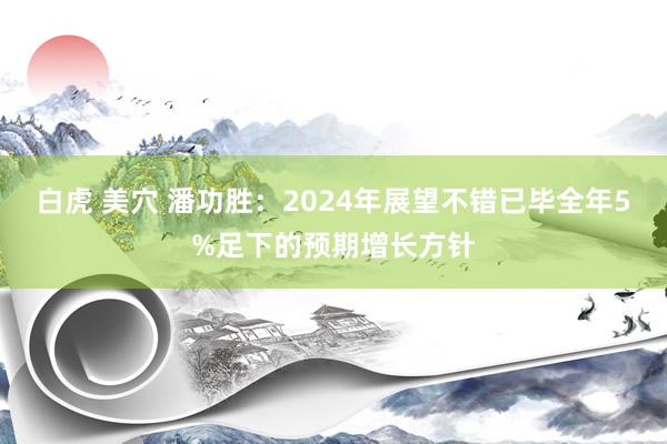 白虎 美穴 潘功胜：2024年展望不错已毕全年5%足下的预期增长方针