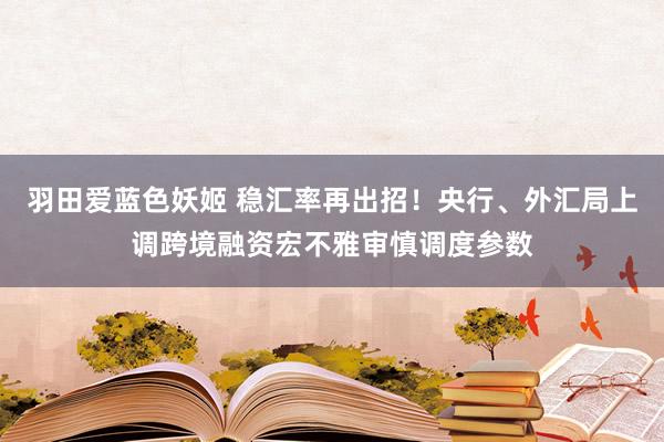 羽田爱蓝色妖姬 稳汇率再出招！央行、外汇局上调跨境融资宏不雅审慎调度参数