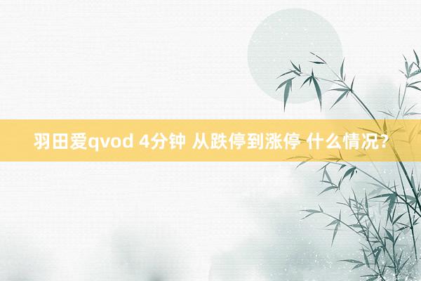 羽田爱qvod 4分钟 从跌停到涨停 什么情况？