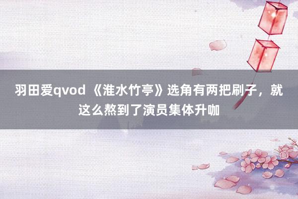 羽田爱qvod 《淮水竹亭》选角有两把刷子，就这么熬到了演员集体升咖