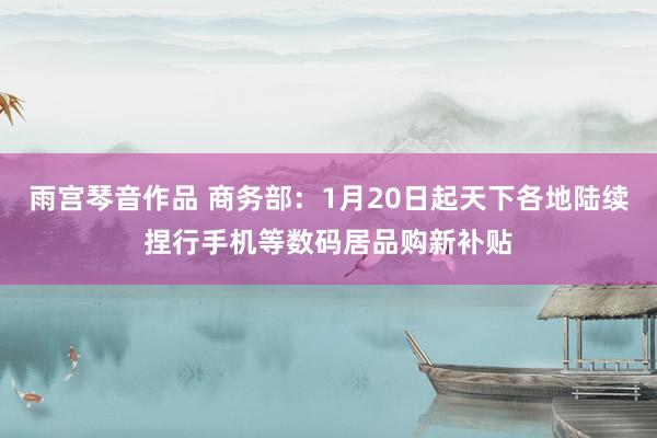 雨宫琴音作品 商务部：1月20日起天下各地陆续捏行手机等数码居品购新补贴