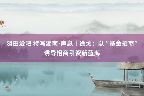 羽田爱吧 特写湖南·声息丨徐戈：以“基金招商”诱导招商引资新蓝海