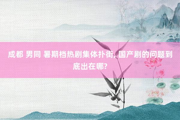 成都 男同 暑期档热剧集体扑街, 国产剧的问题到底出在哪?